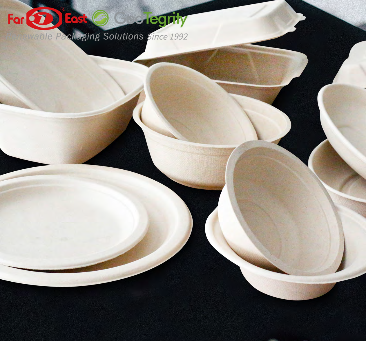GeoTegrity Pulp Molding Tableware