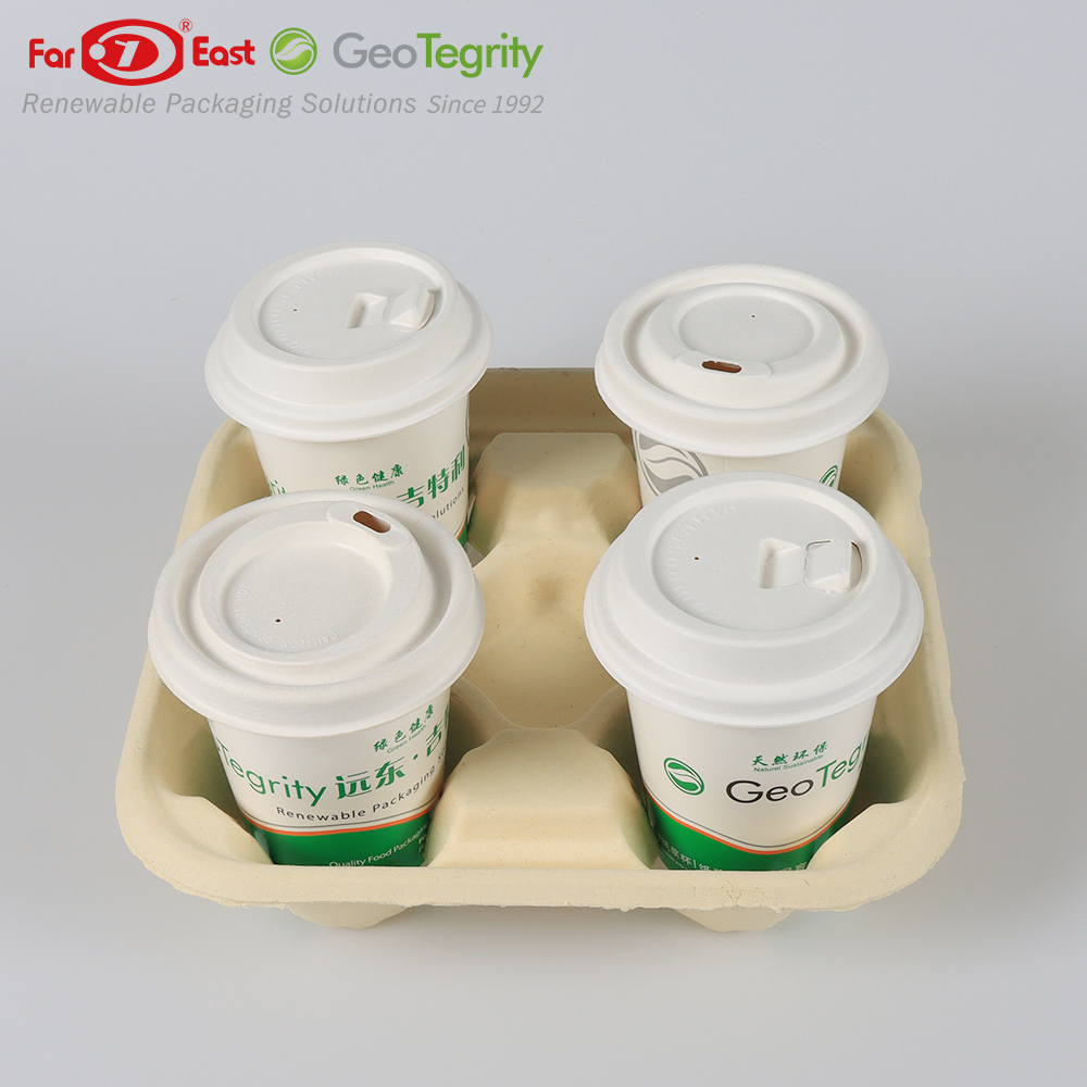GeoTegrity - Eco-friendly Biodegradable Disposable Bamboo Pulp Take Out ...