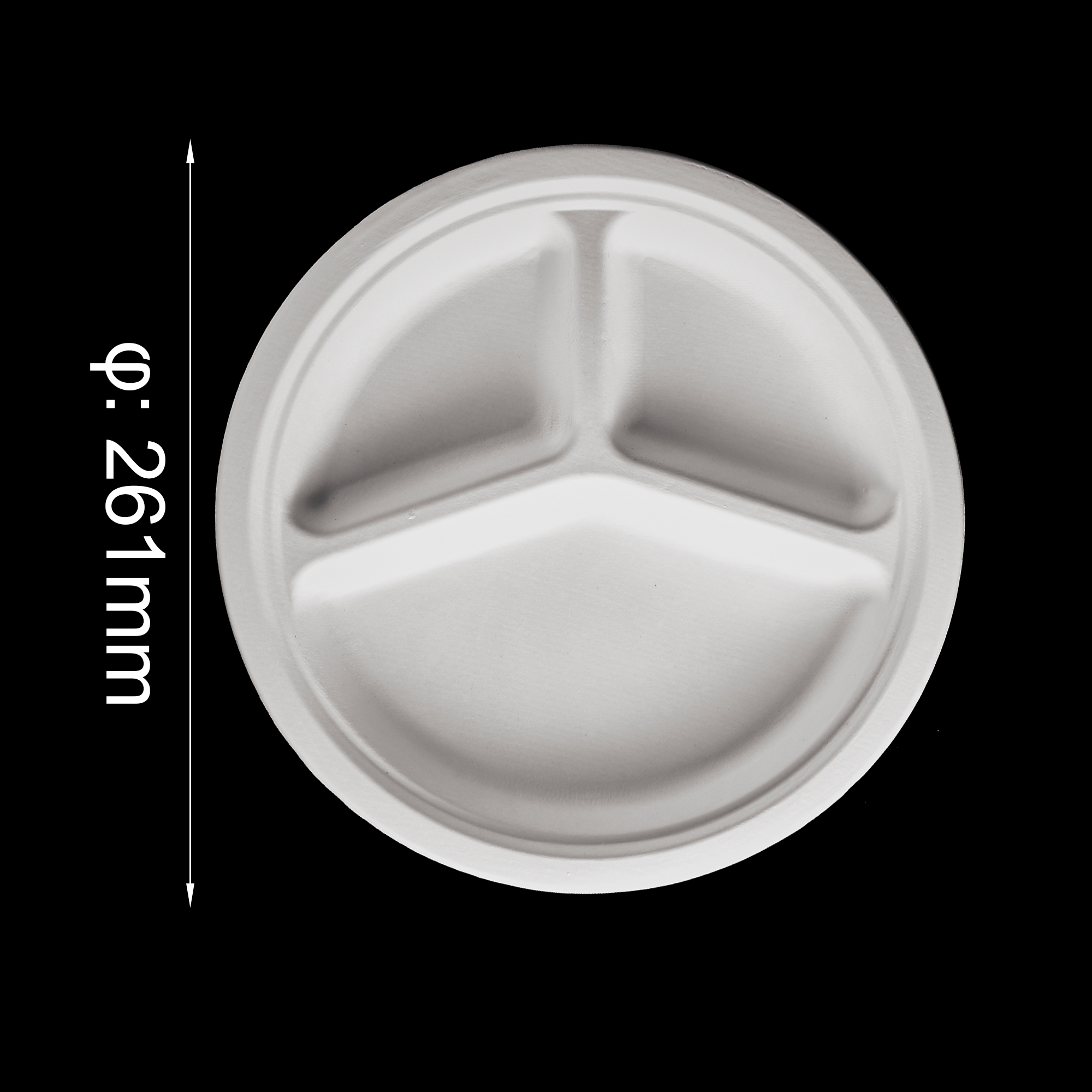 bagasse 3 compartment plate