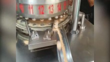 ZPW-25 Rotary Effervescent tablet press