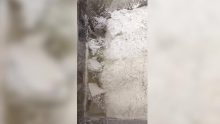 Blade blender machine