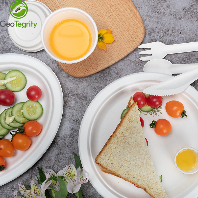 bagasse pulp plates