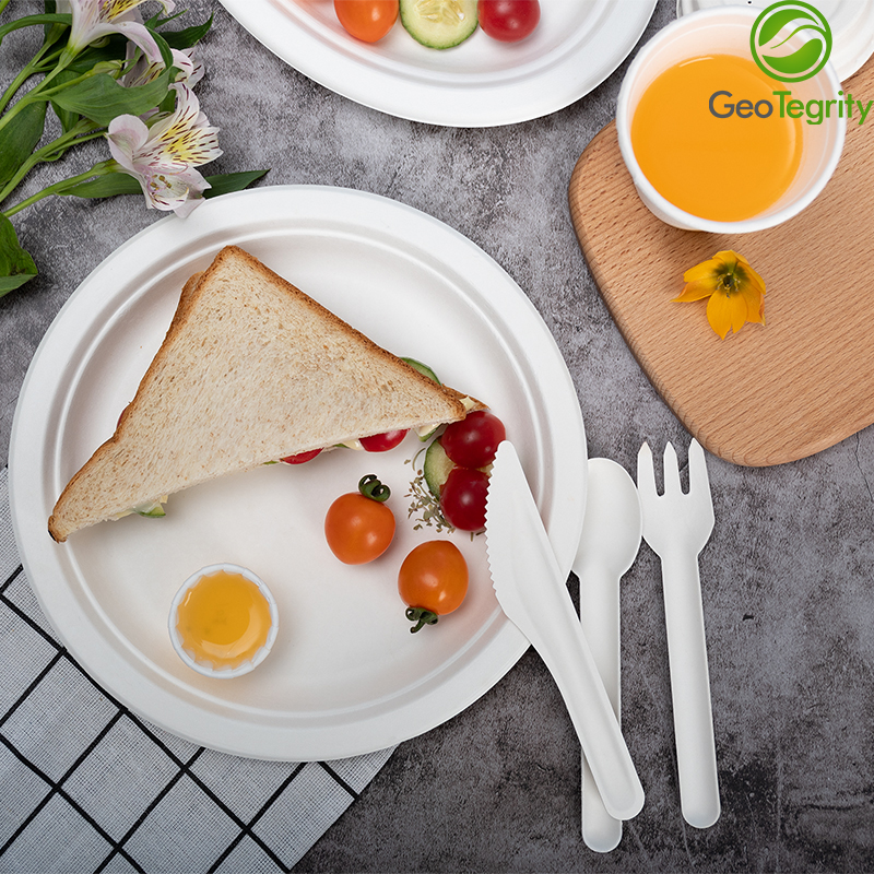 bagasse plates