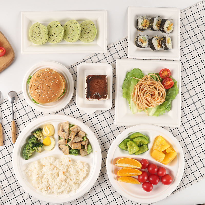 bagasse tableware