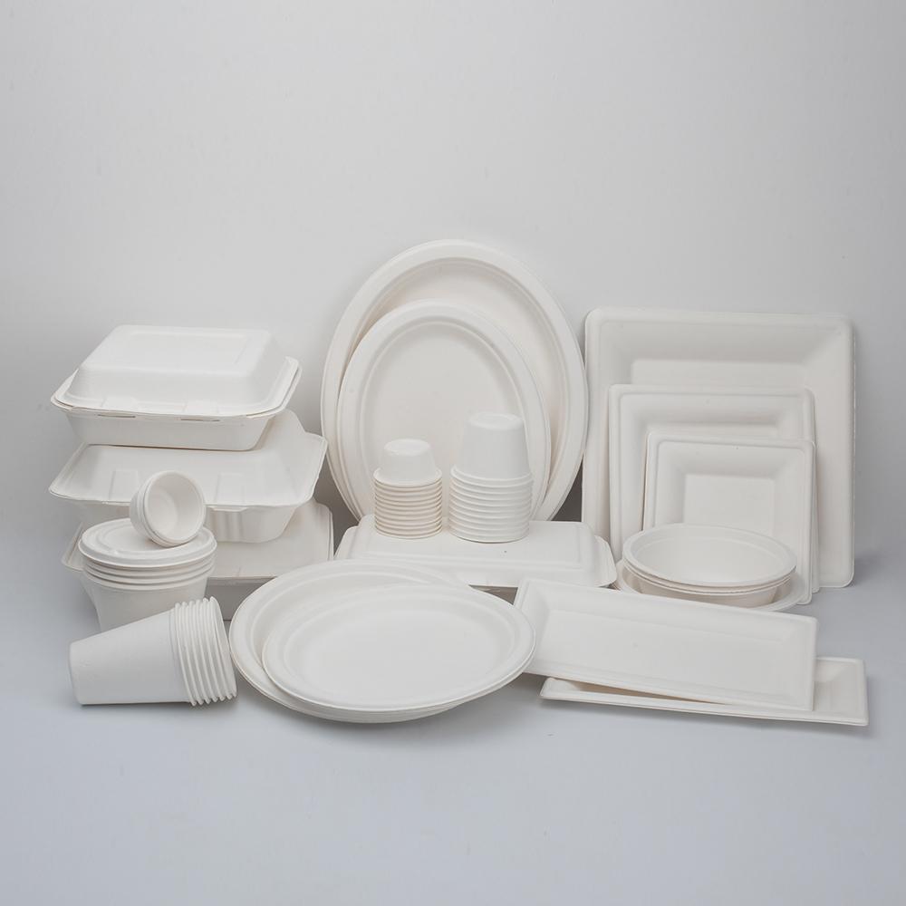 biodegradable pulp tableware