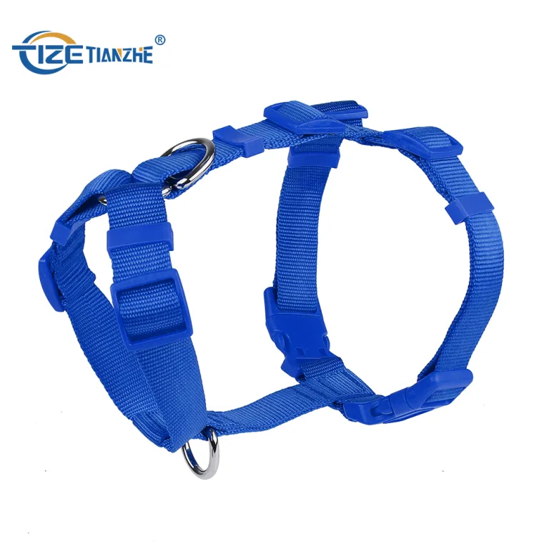 Ozini soruvchi travestitlar