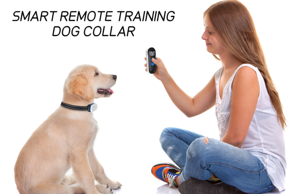 Pettorina E Guinzaglio Cane Mikki Pettorina Per Cani E Cuccioli Anti-tiro Basta Tirare Dare Strattoni O S Pettorina Cane Taglia Media - Foto 12