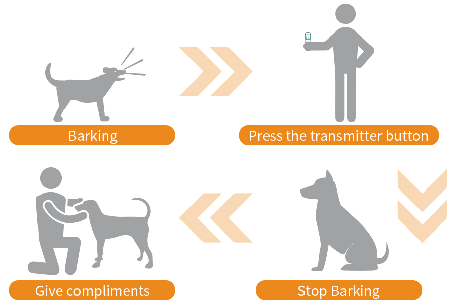 How to Use Dog Training Collar | TIZE