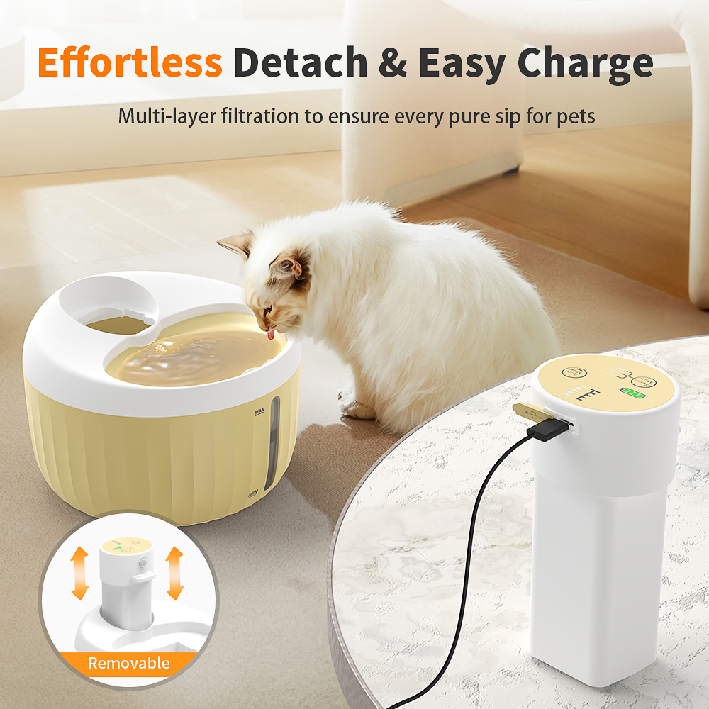 Cat Automatic Water Dispenser China Factory | TIZE