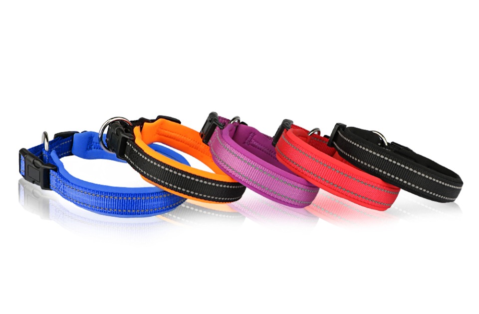 What are the Advantages and Disadvantages of Different Dog Collars