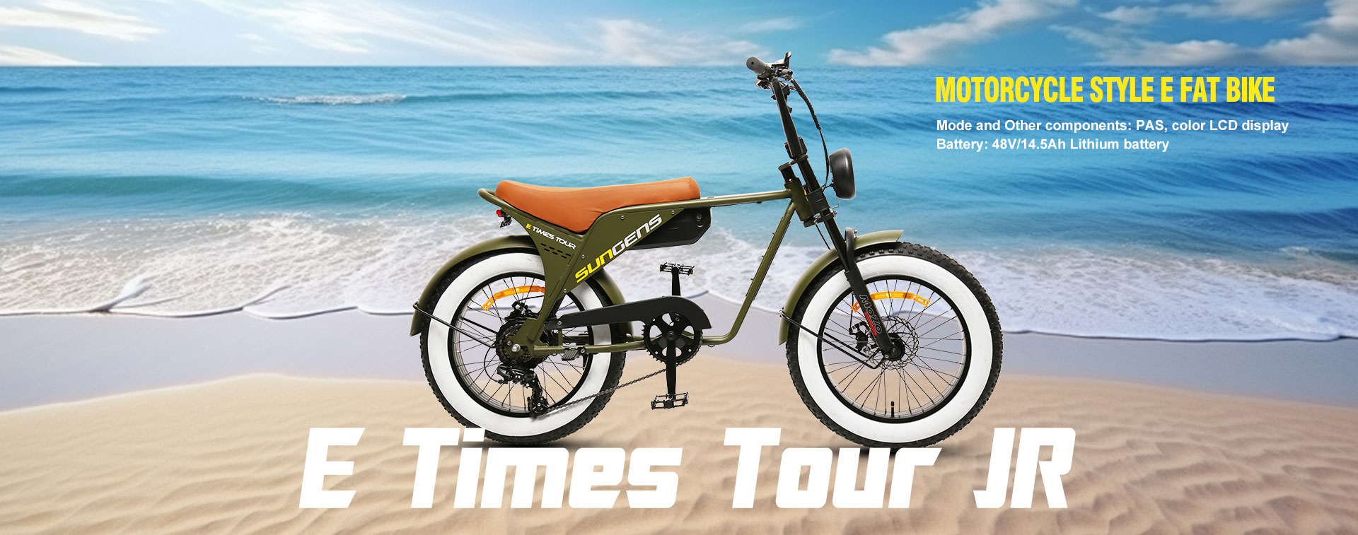 最高の電動自転車メーカー、工場 |送信済み