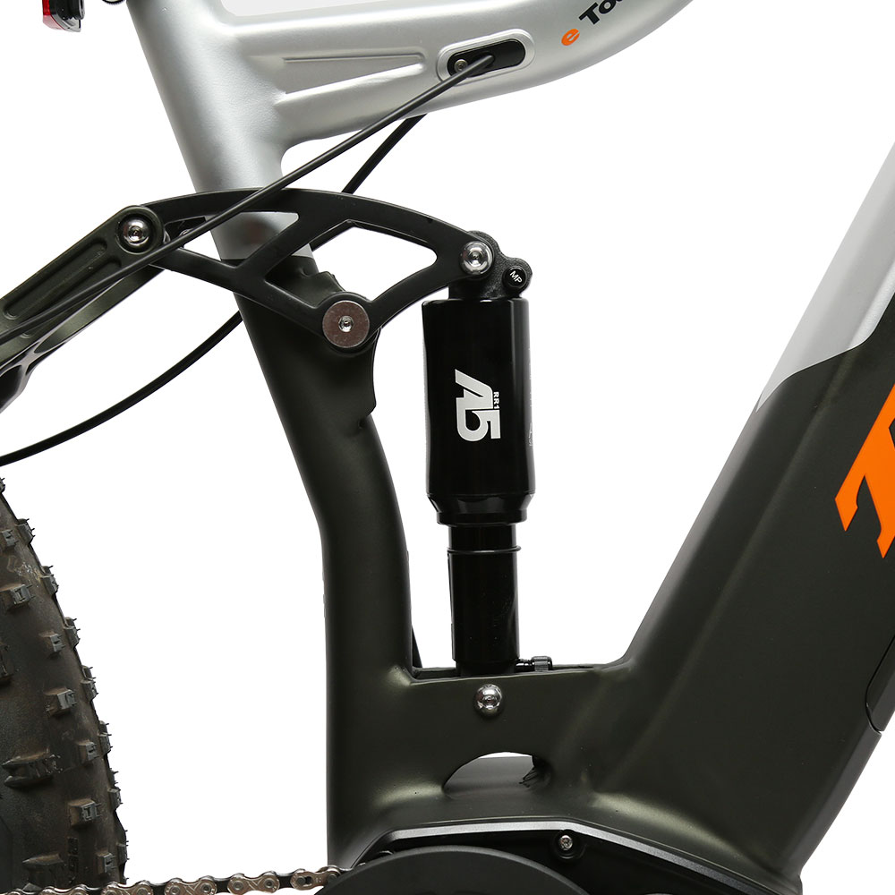 TXED electric mountain bike 48V 750W Full suspension Fat tire