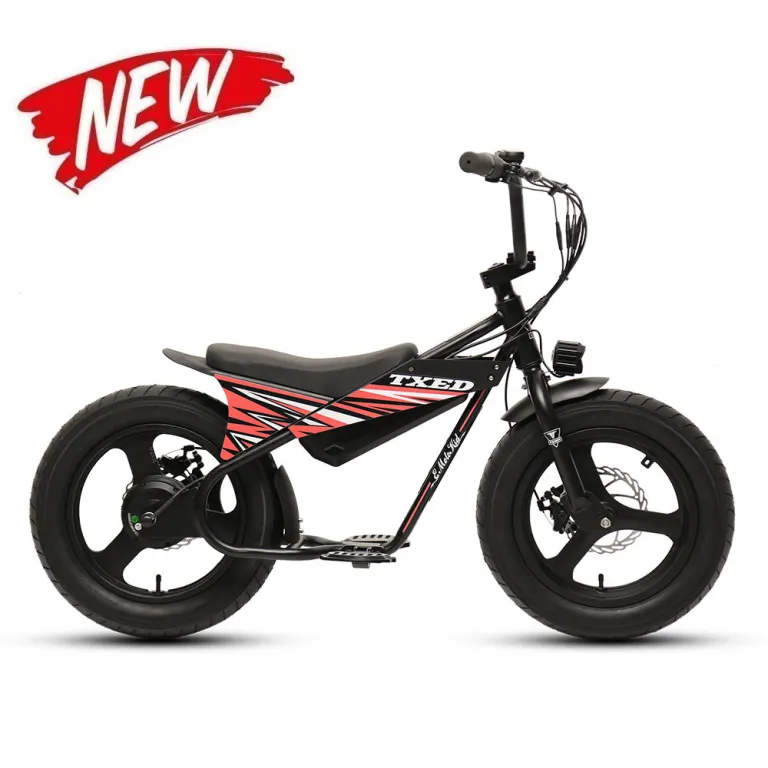 原付スタイルの電動自転車メーカーと工場 |送信済み