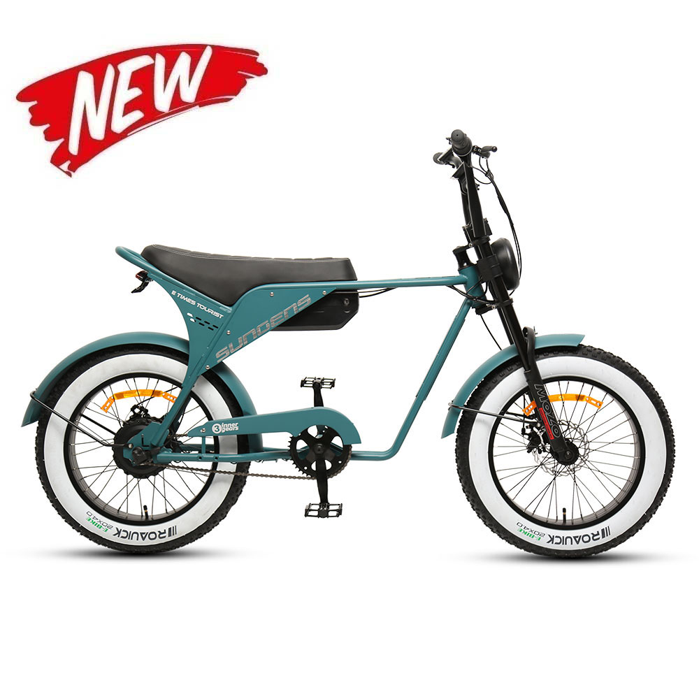 原付スタイルの電動自転車メーカーと工場 |送信済み