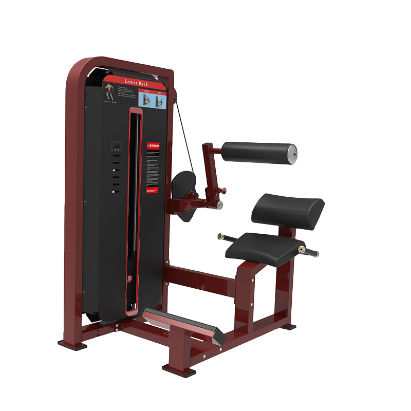 Ganas Gym Equipment Back extension Machine MG6719 Ganas