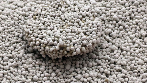 Flushable Ball Shape Bentonite Cat Litter