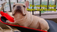 Pet rocking chair