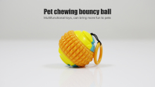 Pet chewing bouncy ball