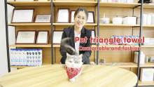 Pet triangle towel