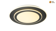 Professional X0263 LED Ceiling Lamp manufacturers