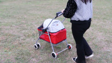 4 Wheels Pet Stroller Cat Dog Cage Stroller Travel Folding Carrier