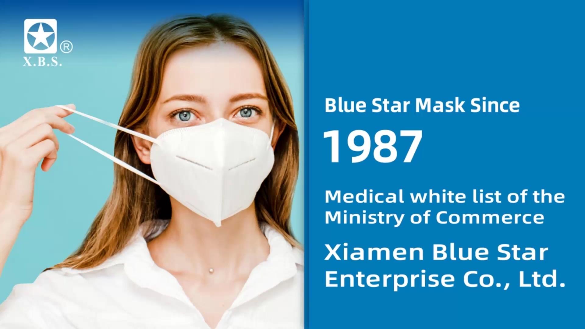 Bluestar Enterprise and Product Introduction