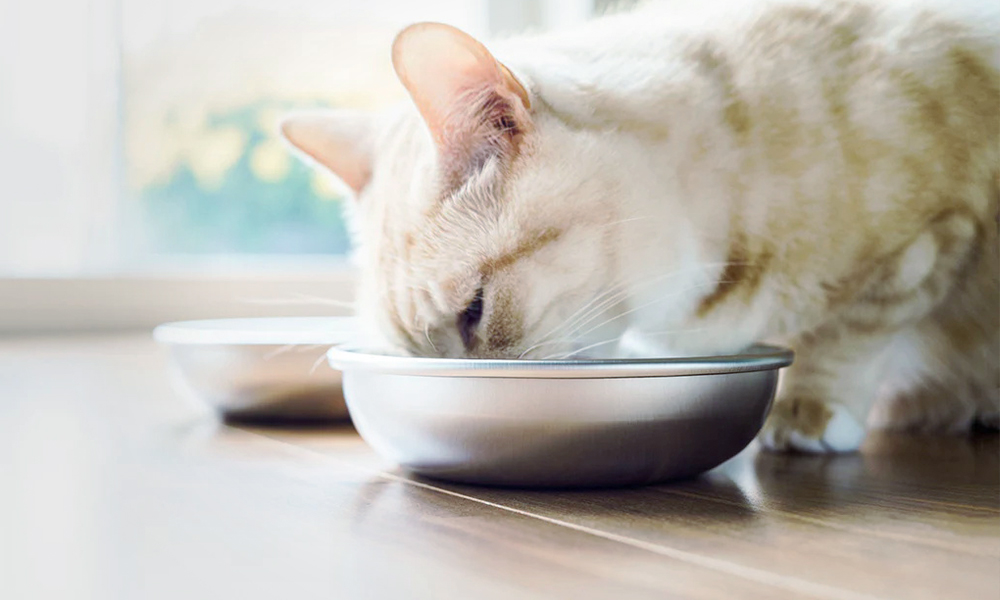 Pet Supplies Manufacturers & Factory Petsproofing