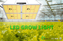 2021 best Led plant grow light - Full spectrum ETL DLC listed