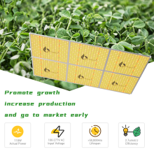 Why does Click & Grow use LED plant grow lights?