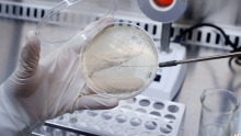 Anti-fouling detection and Product antibacterial test
