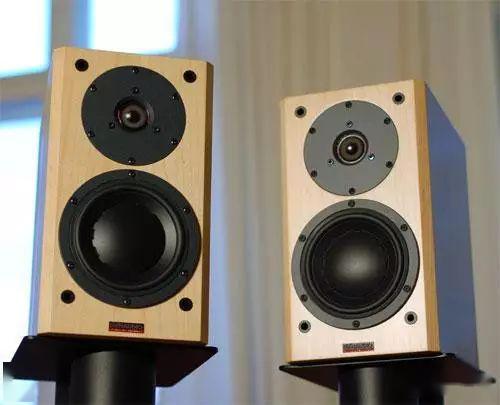 Посоветуйте колонку. Dynaudio Focus 110. Акустическая система Dynaudio Focus 110a. Подпятники для шипов акустики Dynaudio Focus 160. Dynaudio Focus 110 цена.