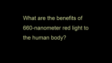 All new Rhong 660nm 850nm red light therapy sit belt mat manufacturers From China