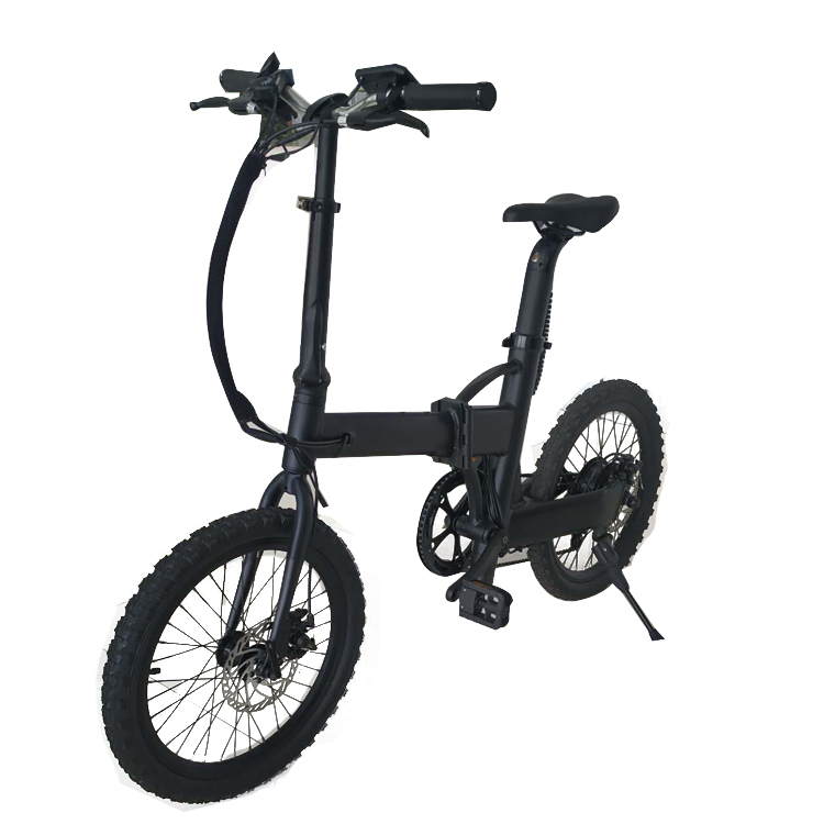 Affordable 20 Inch Aluminum Alloy best Folding Electric Bike with Rear Motor 36V 350W - Dongguan Gaoran Electric Bicycle Co., Ltd.
