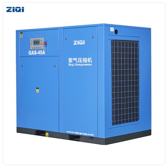 ZIQI Compressor(Shanghai)Co.,Ltd - Anest iwata SL-165E-S8