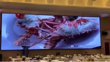 Indoor P3.91 Led Wall In Hotel