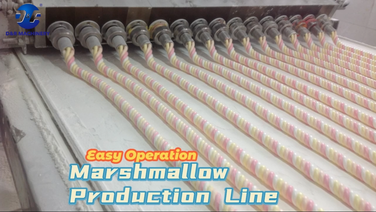 Marshmallow production line | Ningbo D&R Machinery Co.,Ltd.