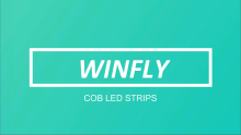 WINFLY RGBIC LED STRIP LIGHTS - PROFESSIONAL LIGHTING MANUFACTURER SUPPLIER FACTORY FOR INDOOR ROOM HOUSE