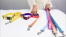 Professional Custom Polyester Dog Leash Manufacturer for USA