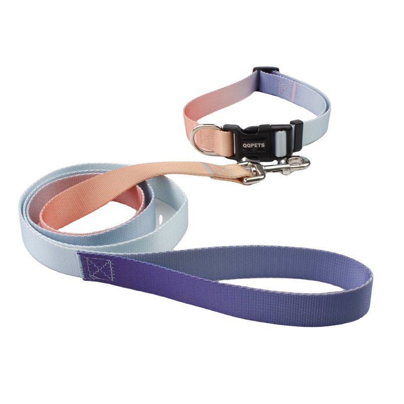 blue purple Custom Polyester Dog Leash