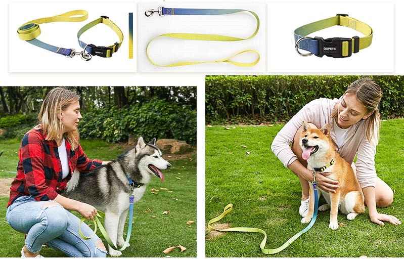 Custom Polyester Dog Leash on dog and woman