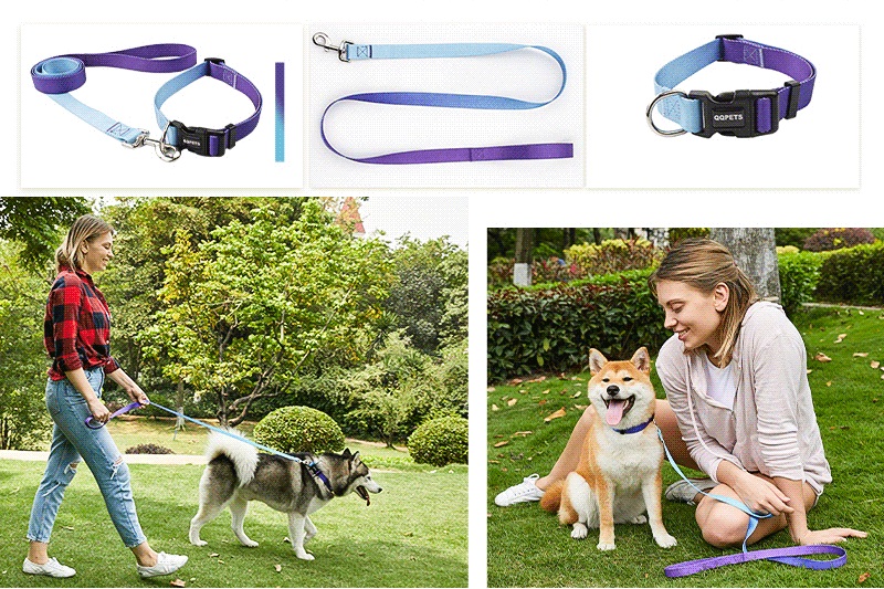 Custom Polyester Dog Leash on dog and woman