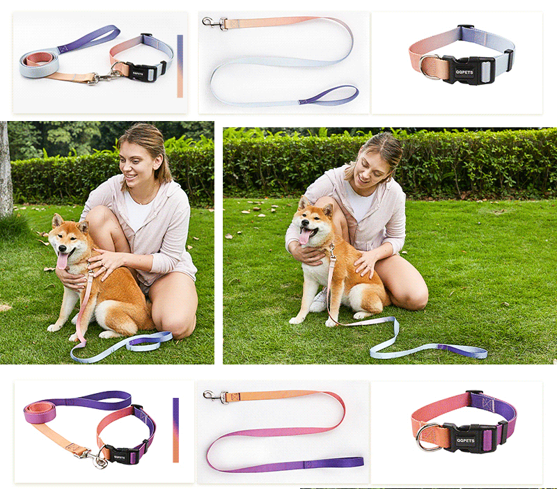 Gradient Ombre Color Polyester Pet Collars and Matching leash, dog, woman