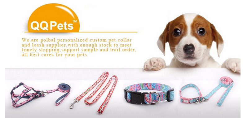 QQPETS luxury dog leash and collar set