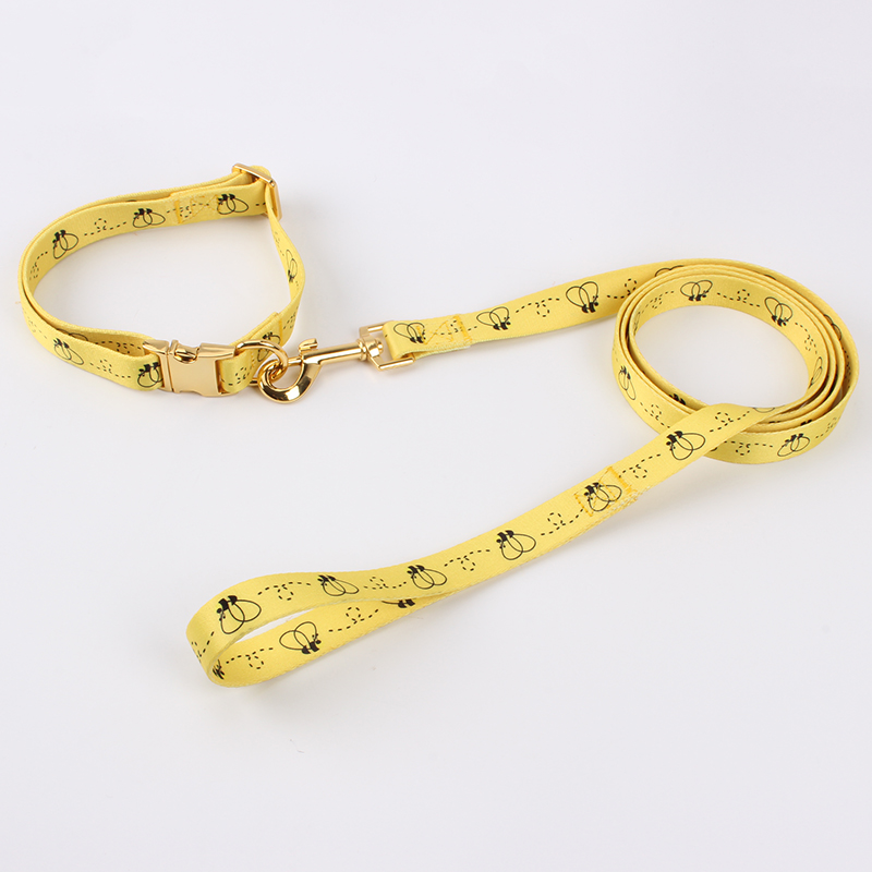 luxury dog leash and collar set