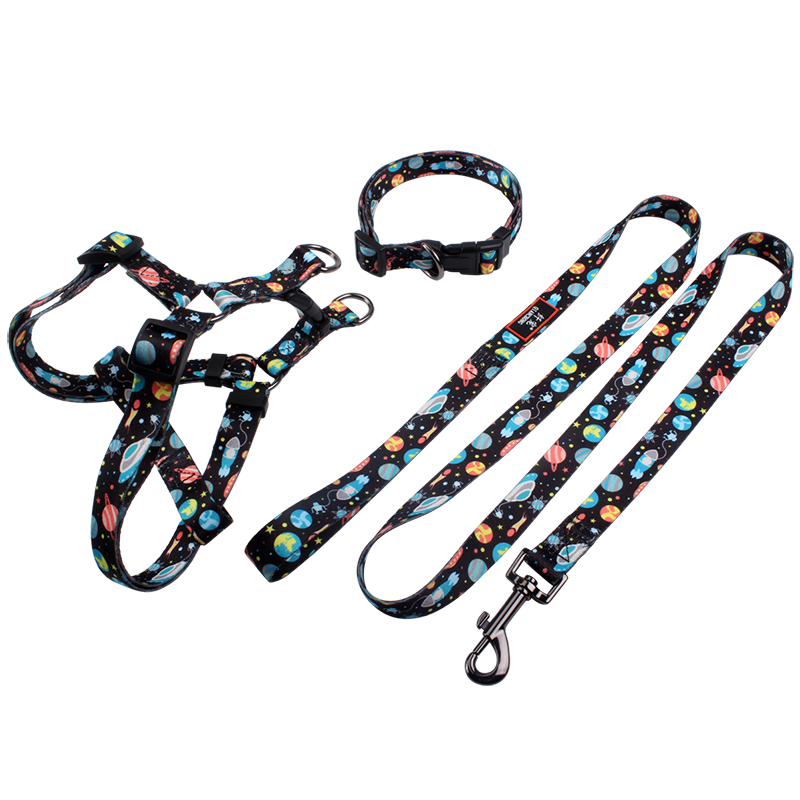 luxury dog leash and collar harness set