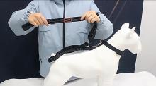 Wholesale Car Seat Belt Dog Leash Manufacturer From China