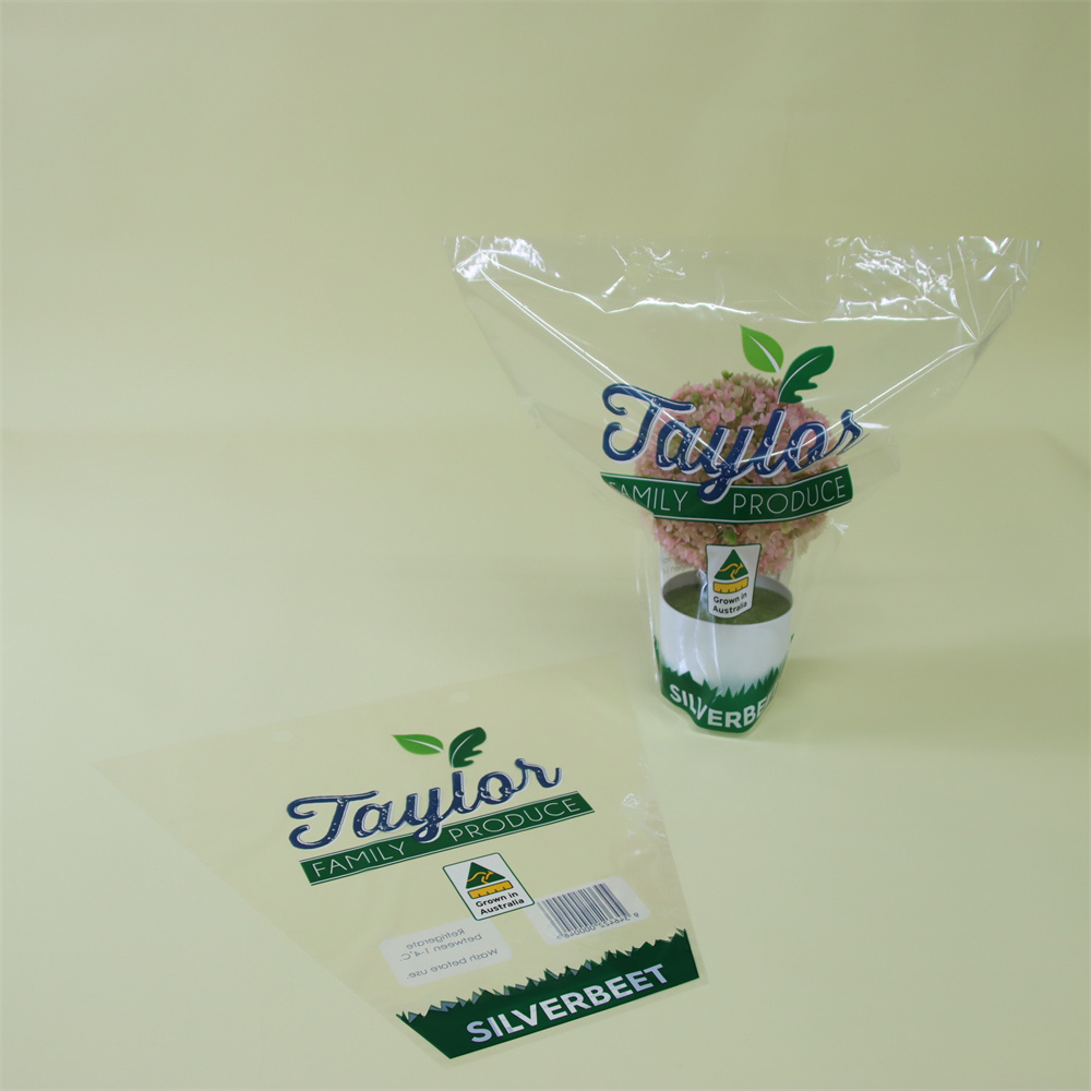 Food grade Lettuce Bag plastic food packaging bag water leaf vegetables