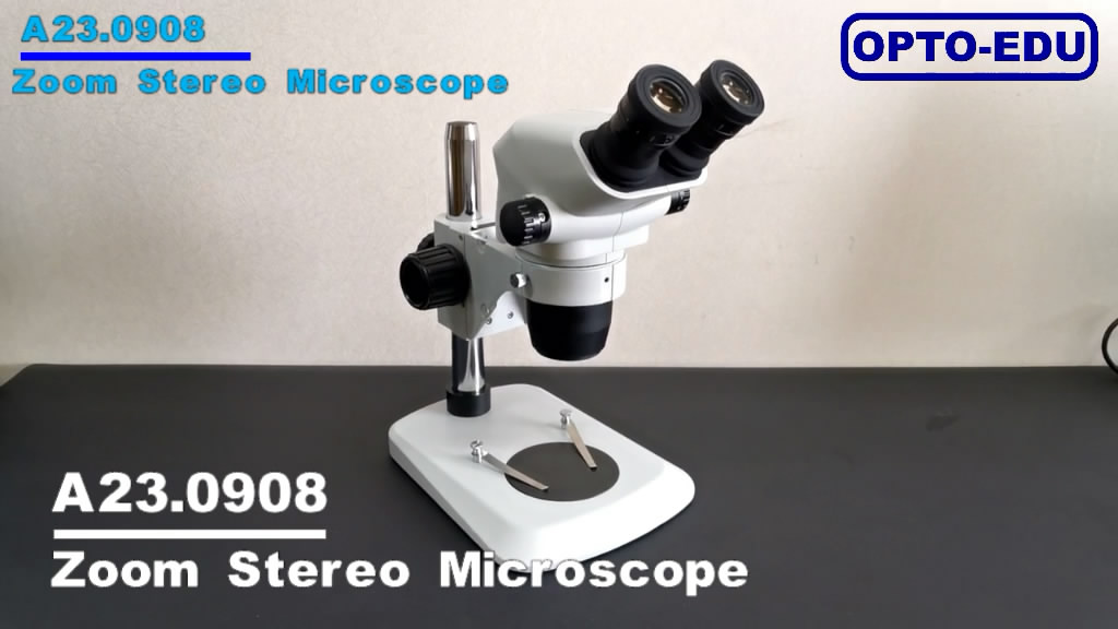 Installation du stéréomicroscope Zoom A23.0908