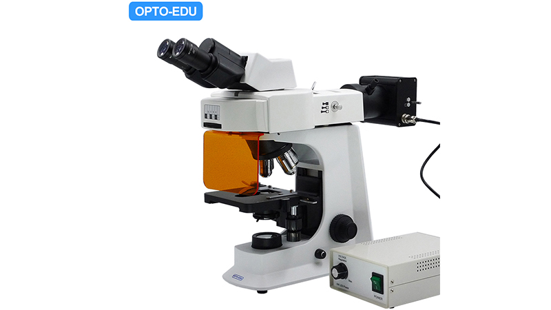 Видео установки светодиодного флуоресцентного микроскопа A16.2601-L