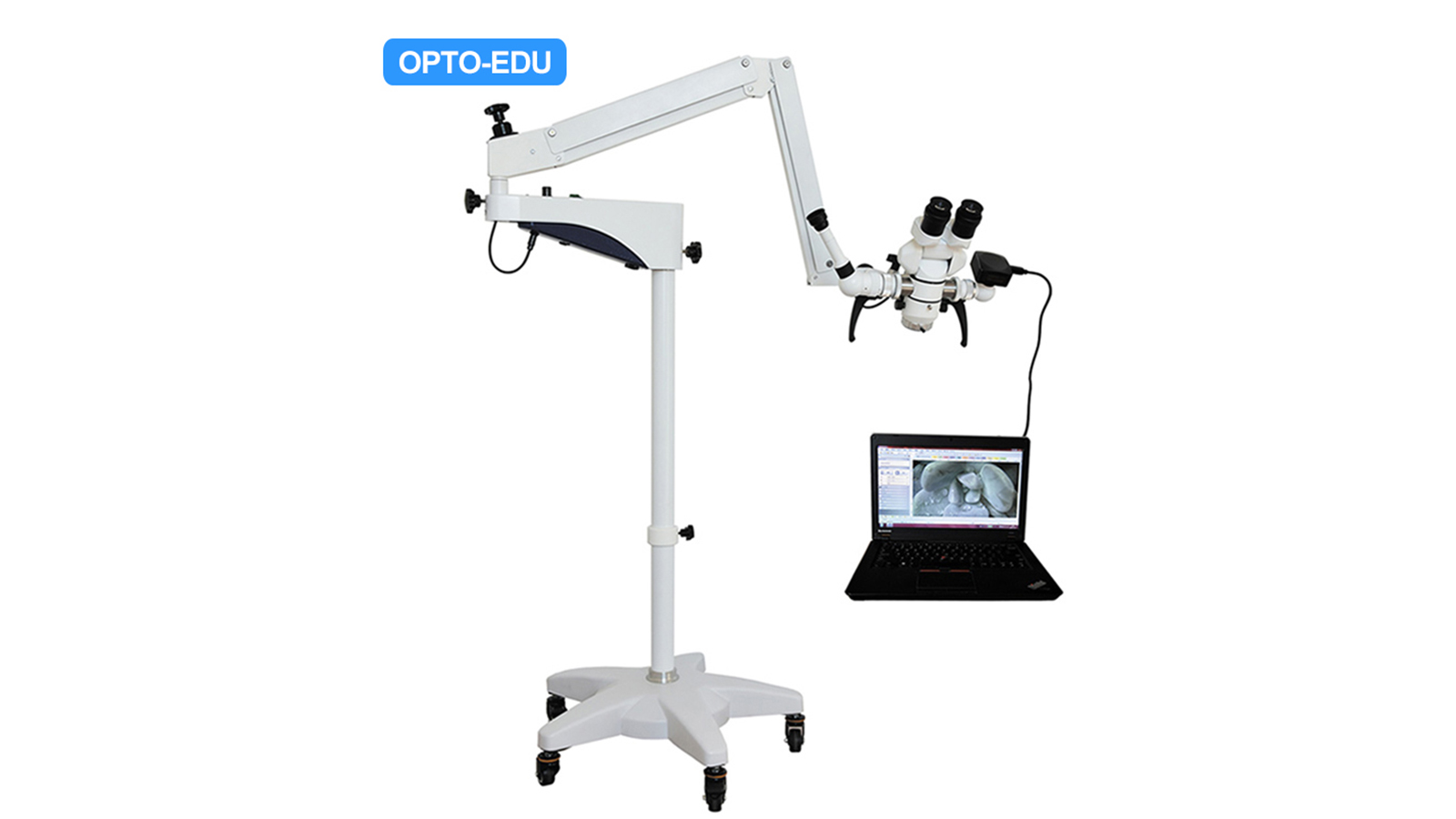 OPTO-EDU A41.1903 Operating Microscope, One Head 0~180°, Manual Step Zoom, 4.8x~16x, For Dental, ENT, Ophthalmology, Gynecology